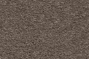 Ковролин AW Invictus Heroicus 39 фото  | FLOORDEALER